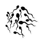 Azoospermia Sperms