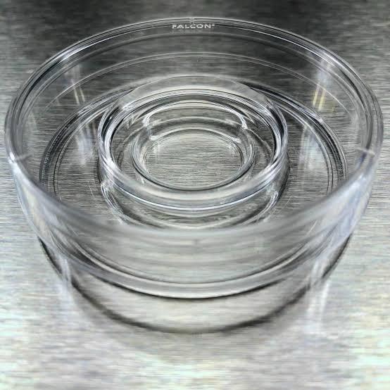 Centrewell Petridish