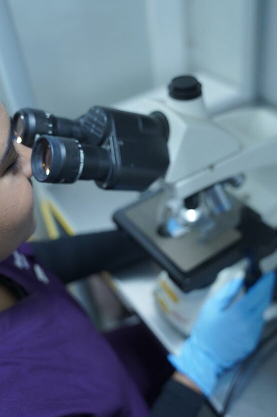 Semen Analysis being done